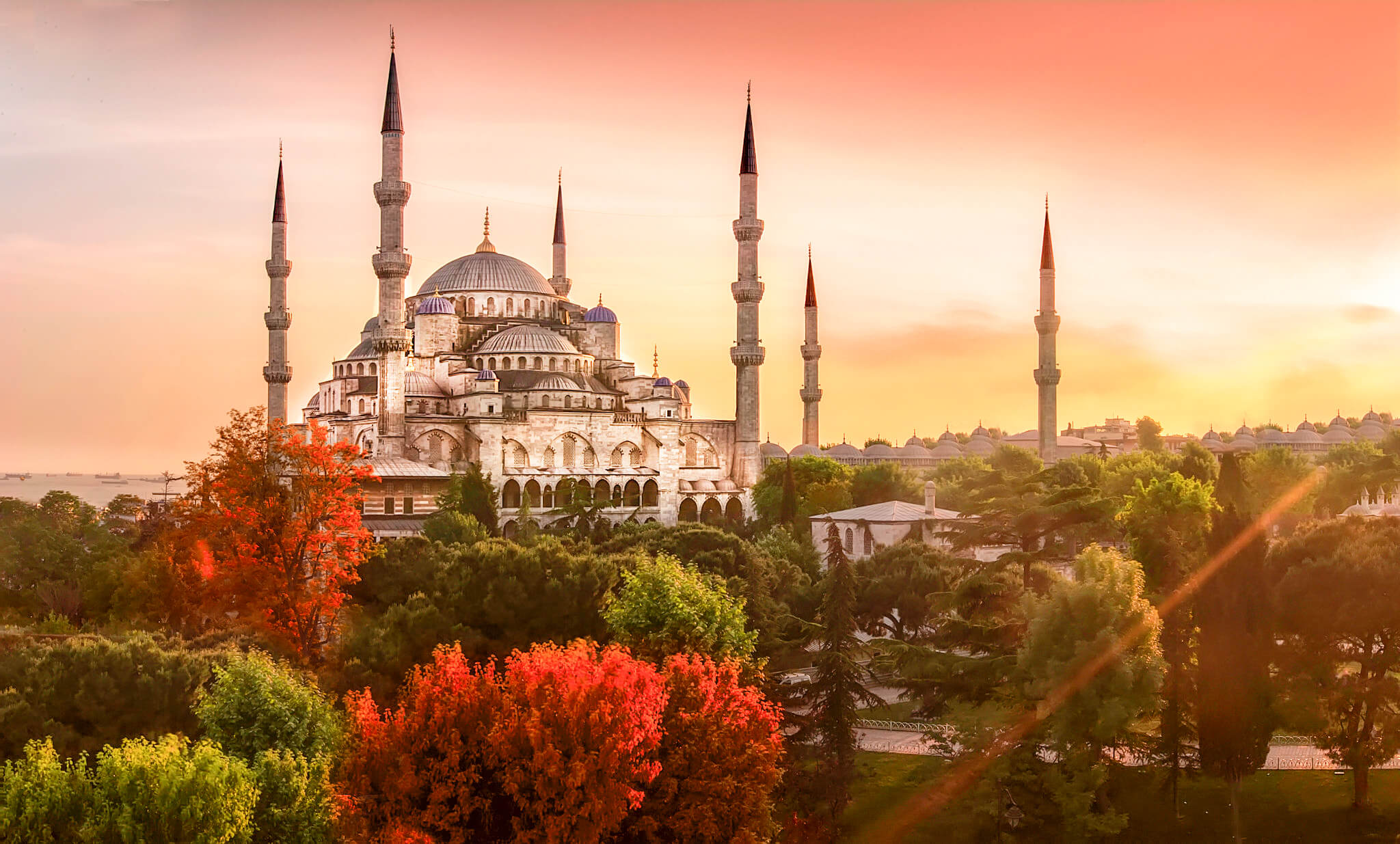 eid-turkey
